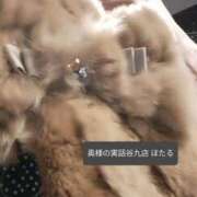 ヒメ日記 2024/12/20 12:38 投稿 ほたる 奥様の実話 谷九店