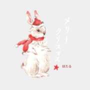 ヒメ日記 2024/12/25 10:22 投稿 ほたる 奥様の実話 谷九店