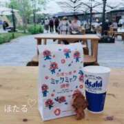 ヒメ日記 2025/05/27 14:24 投稿 ほたる 奥様の実話 谷九店