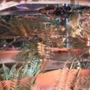 ヒメ日記 2025/05/29 07:20 投稿 ほたる 奥様の実話 谷九店