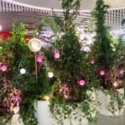 ヒメ日記 2025/07/09 05:59 投稿 ほたる 奥様の実話 谷九店