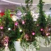 ヒメ日記 2025/11/27 22:55 投稿 ほたる 奥様の実話 谷九店