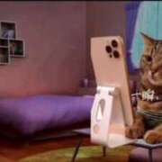 ほたる 予定変更しました   ほたる 奥様の実話 谷九店