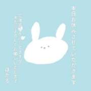 ヒメ日記 2026/05/17 05:25 投稿 ほたる 奥様の実話 谷九店