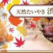 ヒメ日記 2024/11/04 14:13 投稿 かすみ 奥様の実話 なんば店