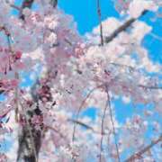 ヒメ日記 2026/04/08 16:57 投稿 かすみ 奥様の実話 なんば店