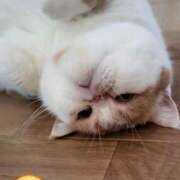 ヒメ日記 2024/12/14 20:08 投稿 なおこ 奥様の実話 なんば店