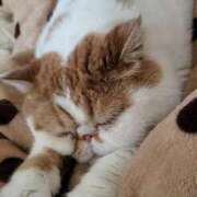 ヒメ日記 2025/02/01 15:34 投稿 なおこ 奥様の実話 なんば店