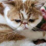 ヒメ日記 2025/02/08 15:31 投稿 なおこ 奥様の実話 なんば店