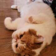 ヒメ日記 2025/03/03 17:50 投稿 なおこ 奥様の実話 なんば店