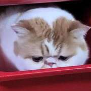 ヒメ日記 2025/03/10 22:02 投稿 なおこ 奥様の実話 なんば店