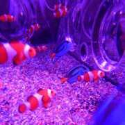 ヒメ日記 2025/05/02 08:19 投稿 なおこ 奥様の実話 なんば店