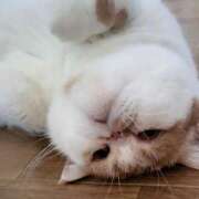 ヒメ日記 2025/05/09 04:36 投稿 なおこ 奥様の実話 なんば店