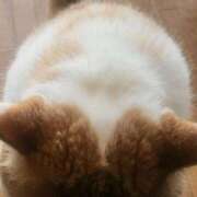 ヒメ日記 2025/05/28 09:09 投稿 なおこ 奥様の実話 なんば店