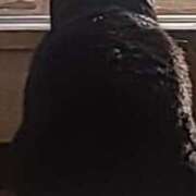 ヒメ日記 2025/05/29 21:25 投稿 なおこ 奥様の実話 なんば店