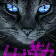 ヒメ日記 2025/06/05 13:04 投稿 なおこ 奥様の実話 なんば店