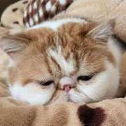 ヒメ日記 2025/10/10 14:52 投稿 なおこ 奥様の実話 なんば店