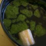 ヒメ日記 2025/11/04 08:30 投稿 なおこ 奥様の実話 なんば店