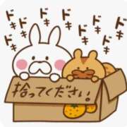 なおこ いったん 奥様の実話 なんば店