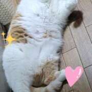 ヒメ日記 2026/01/17 08:08 投稿 なおこ 奥様の実話 なんば店