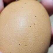 ヒメ日記 2026/01/25 06:34 投稿 なおこ 奥様の実話 なんば店