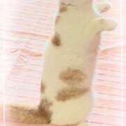 ヒメ日記 2026/02/08 06:38 投稿 なおこ 奥様の実話 なんば店