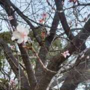 ヒメ日記 2026/02/20 17:33 投稿 なおこ 奥様の実話 なんば店