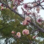 ヒメ日記 2026/02/26 09:04 投稿 なおこ 奥様の実話 なんば店