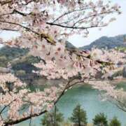 ヒメ日記 2026/03/01 06:42 投稿 なおこ 奥様の実話 なんば店