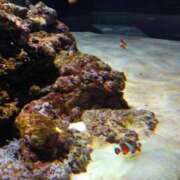 ヒメ日記 2026/03/02 10:28 投稿 なおこ 奥様の実話 なんば店