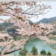 ヒメ日記 2026/04/12 08:11 投稿 なおこ 奥様の実話 なんば店