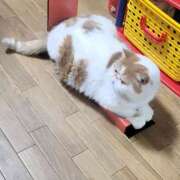 ヒメ日記 2026/04/16 07:39 投稿 なおこ 奥様の実話 なんば店