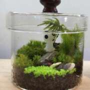 ヒメ日記 2026/04/30 12:30 投稿 なおこ 奥様の実話 なんば店