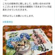 ヒメ日記 2026/06/25 08:02 投稿 なおこ 奥様の実話 なんば店