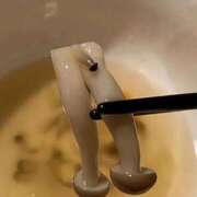 ヒメ日記 2026/02/15 22:16 投稿 ゆずは 奥様の実話 なんば店