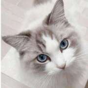 ゆずは うまくいかない 奥様の実話 なんば店