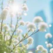 ヒメ日記 2025/02/25 11:31 投稿 ようこ 奥様の実話 なんば店