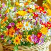 ヒメ日記 2025/03/09 10:13 投稿 ようこ 奥様の実話 なんば店