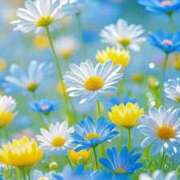 ヒメ日記 2025/03/20 10:57 投稿 ようこ 奥様の実話 なんば店