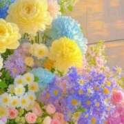 ヒメ日記 2025/05/31 12:49 投稿 ようこ 奥様の実話 なんば店