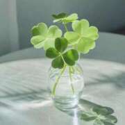 ヒメ日記 2025/07/03 10:41 投稿 ようこ 奥様の実話 なんば店