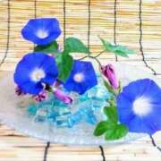 ヒメ日記 2025/07/25 12:16 投稿 ようこ 奥様の実話 なんば店