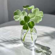 ヒメ日記 2025/09/16 12:36 投稿 ようこ 奥様の実話 なんば店