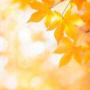 ようこ 気づけば11月…💦 奥様の実話 なんば店