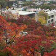 ヒメ日記 2025/11/22 09:30 投稿 ようこ 奥様の実話 なんば店