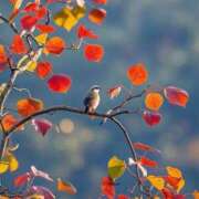 ヒメ日記 2025/12/01 10:37 投稿 ようこ 奥様の実話 なんば店