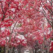 ようこ 昨日から急に寒く…❄️ 奥様の実話 なんば店