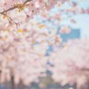 ヒメ日記 2026/04/03 10:31 投稿 ようこ 奥様の実話 なんば店