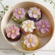 ヒメ日記 2025/10/10 13:26 投稿 なお アロマエステ アイウィッシュ