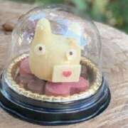 ヒメ日記 2026/02/16 14:22 投稿 なお アロマエステ アイウィッシュ